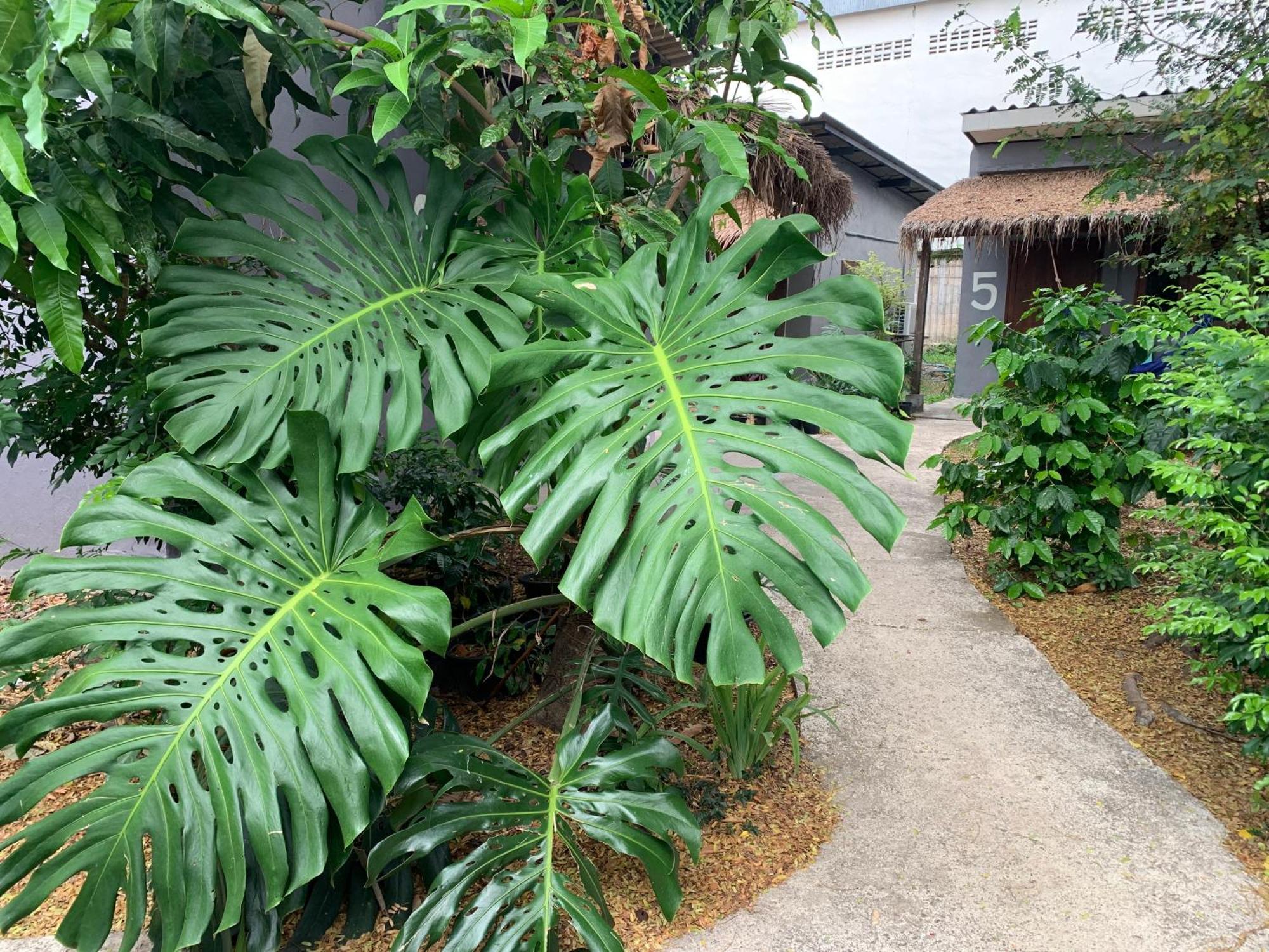 บ้านใจแปงโฮมสเตย์ Ban Jaipang Homestay Pai Extérieur photo