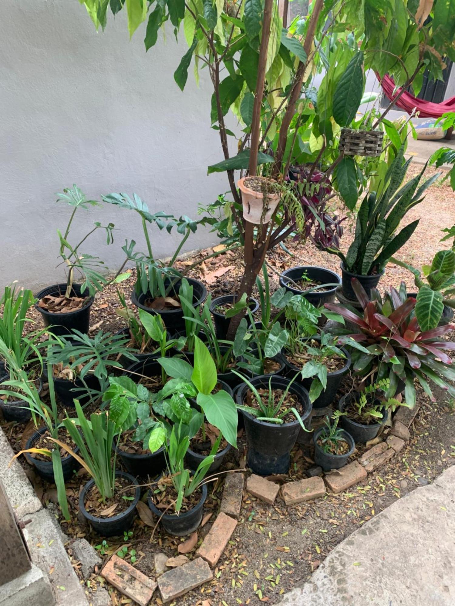 บ้านใจแปงโฮมสเตย์ Ban Jaipang Homestay Pai Extérieur photo